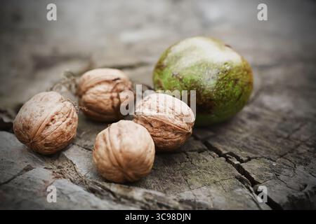 Freshly picked walnuts in shells on log. Nature concept. Selective focus Stock Photo
