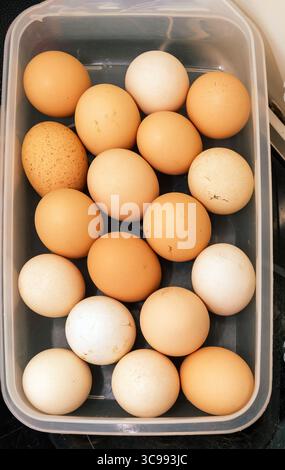Organic raw chicken eggs in plastic box Stock Photo