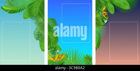 Summer morning, afternoon and evening backgrounds with tropical palm leaves. Jungle plants foliage frame. Night sky. Forest greenery. Natural fronds. Stock Vector
