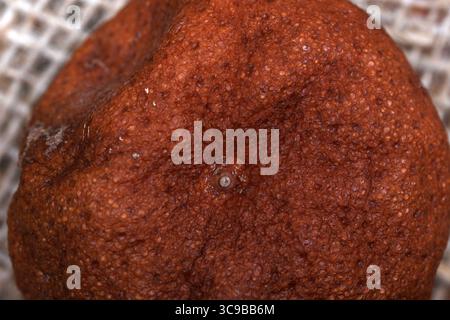 Close-up view of a unique red rock displaying intricate surface details and shadows. Stock Photo