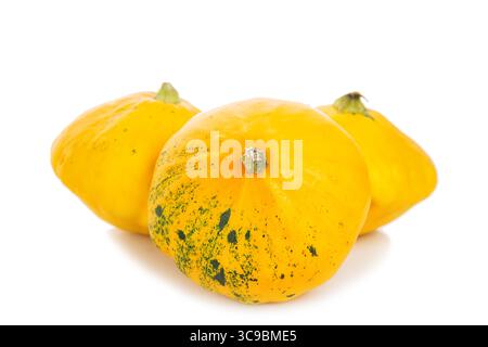 Three yellow bush pumpkins isolated on a white background. Stock Photo