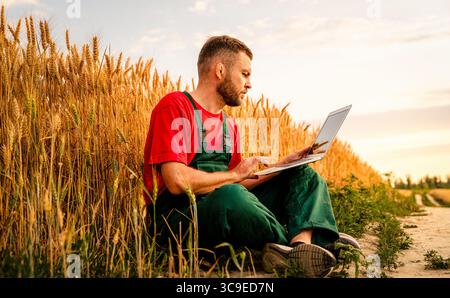 Man farmer using laptop for harvest planning sitting on ground by cereal crops Stock Photo