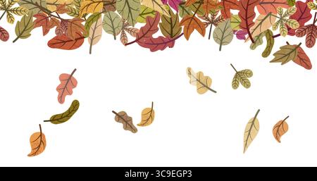 Colorful autumn leaves of various shapes and colors falling down, creating a seamless border on a white background, perfect for autumn themed designs Stock Vector