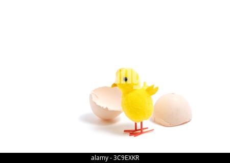Easter egg and yellow chicken isolated on white background Stock Photo