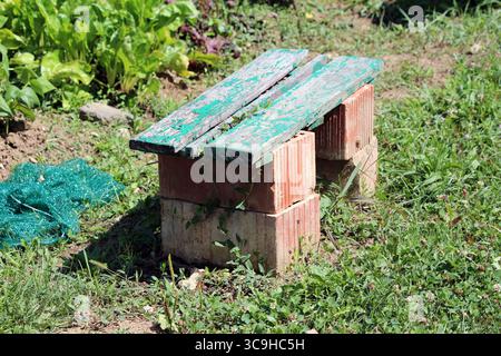 A handmade bench crafted from stacked bricks and old green-painted wood sits in a vegetable garden, surrounded by leafy chard beta vulgaris and wild Stock Photo