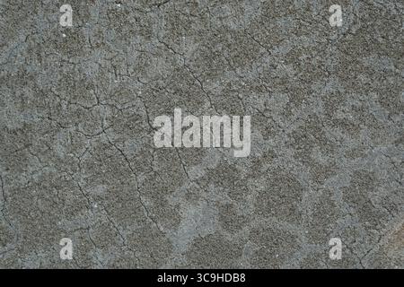 Close-up of a concrete wall showing distinct surface cracks and coarse granular texture. Stock Photo