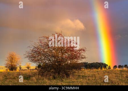 Rainbow over the countryside at Blayney in the Central West of NSW, Australia. Stock Photo