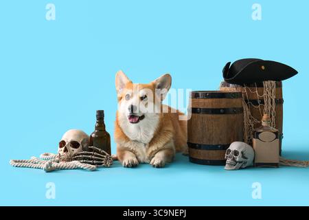 Cute Corgi dog with pirate hat and Halloween decorations lying on blue background Stock Photo