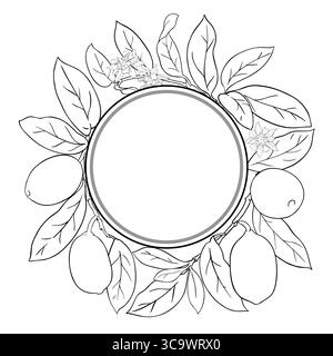Cupuacu Branch Outline Round Frame. Stock Vector