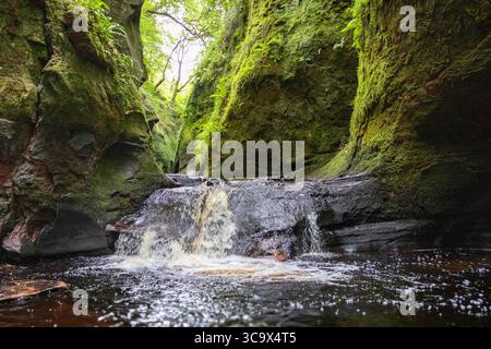 Small cascading waterfalls nestled between moss-covered cliffs in a lush, green forest gorge. The tranquil water flows through a dramatic Stock Photo
