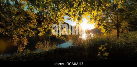 Sunset at a river viewed through beautiful lush autumn foliage. Panoramic backlit nature scenery with yellow illuminated leaves. Stock Photo