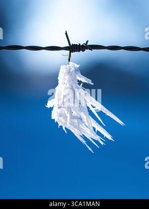 Close-up of sharp ice crystals hanging on barbed wire against a clear blue winter sky in Switzerland Stock Photo