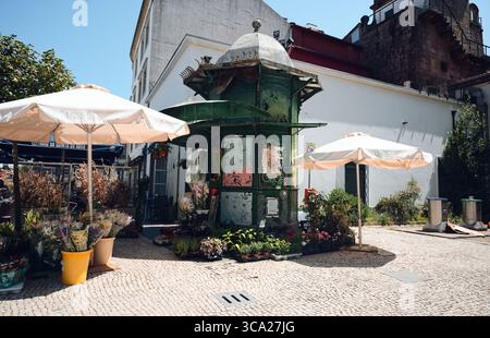 Charming flower kiosk in Braga surrounded by plants, street umbrellas, and cobblestone pavement on a bright summer day Stock Photo