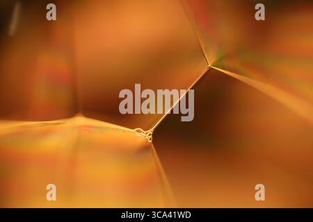 Orange coloured liquid surface, fluid effect, bright chemistry, geometric shapes Stock Photo