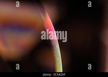 Minimalist Macro of Iridescent Soap Bubble Edge with Large Copy Space on Dark Background Stock Photo