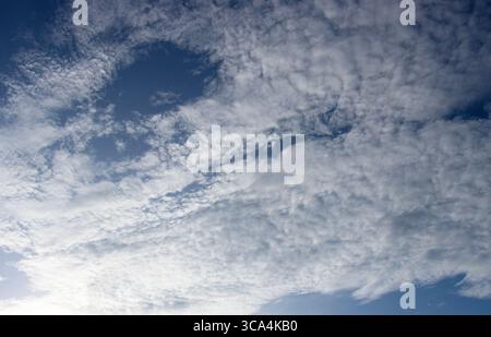 Altocumulus is a mid-level cloud, comprising of patches of regularly spaced cumulus clumps. Altocumulus floccus are ice crystals above thermal action Stock Photo
