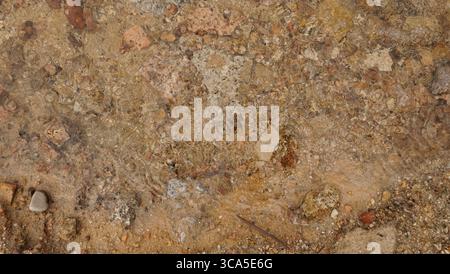 A close-up view of the ground reveals a variety of textures, including pebbles and small rocks submerged in clear water. The natural light enhances th Stock Photo