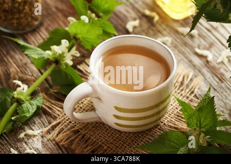 A cup of herbal tea with white dead-nettle flowers and leaves on a table Stock Photo