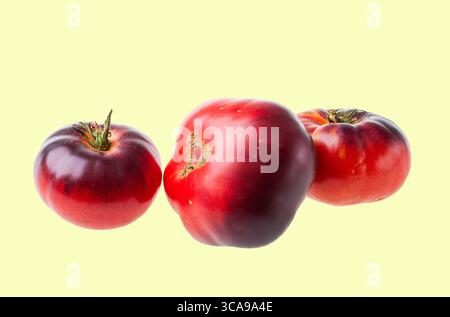 Close up view of three ripe Black Prince tomatoes with dark red and purple skin isolated on light yellow background. Stock Photo