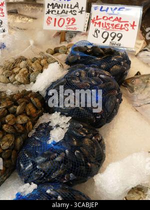 SEATTLE - APR 23, 2025 - Fresh mussels and clams are displayed in blue mesh bags on a bed of ice at a fish market, with handwritten price signs advert Stock Photo