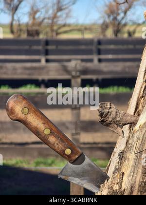 Close-up of an old knife with a wooden handle embedded in a tree trunk, with a blurred rural background featuring a fence and trees Stock Photo