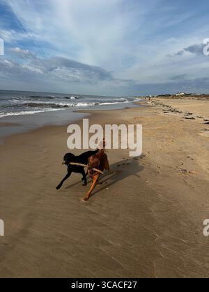 Joyful black and brown dogs run along the shoreline, playfully carrying a stick together on a quiet beach under a partly cloudy sky. Stock Photo