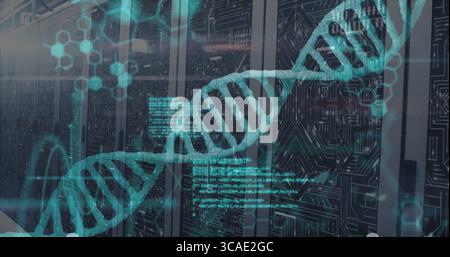 Displaying turquoise DNA double helix overlay across data center server racks, with code snippets Stock Photo