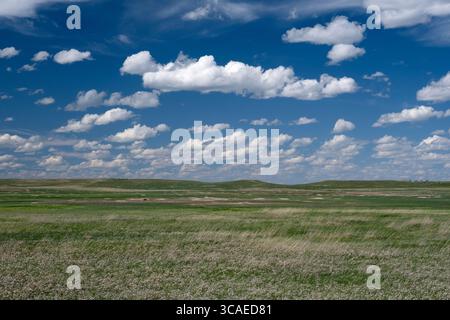 View looking across the high plains of South Dakota with small fair weather clouds and grass prairie Stock Photo