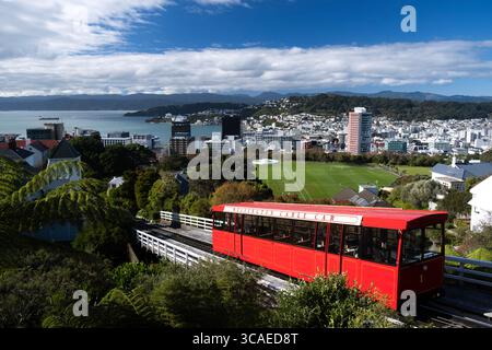 View of the red Wellington Cable Car descending from the botanic gardens looking towards the city below Stock Photo