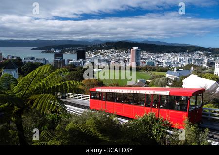 View of the red Wellington Cable Car descending from the botanic gardens looking towards the city below Stock Photo