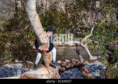 funny teenager wrapped his arms and legs around the trunk of an old tree in a mountain gorge Stock Photo