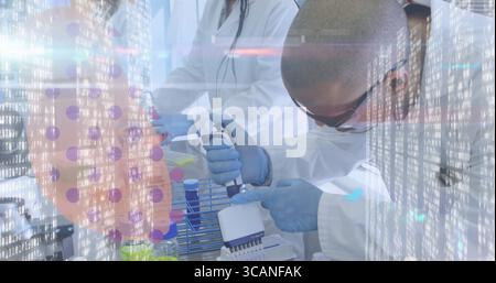 Dispensing scientist in lab coat using electronic pipette into multiwell plate at lab bench Stock Photo