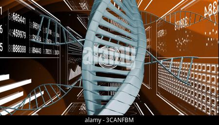 Displaying central DNA double helix twisting within virtual corridor, with data panels and charts Stock Photo