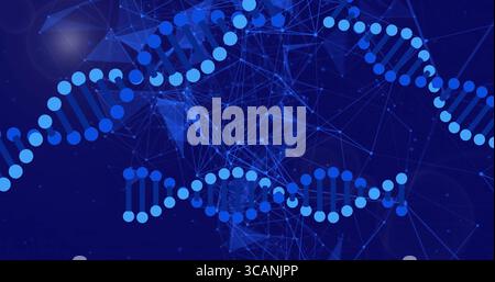 Displaying stylized DNA helix weaving across blue network mesh shapes with nodes lines glowing orbs Stock Photo