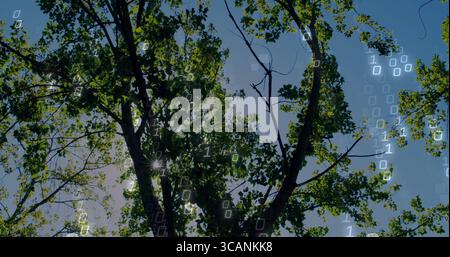 Displaying tree trunk and branches filtering sunlight at park, with semi-transparent binary overlay Stock Photo