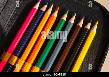 multi-colored pencils in a schoolboy's pencil case Stock Photo