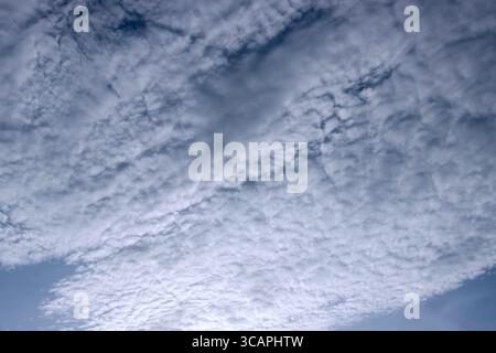 Altocumulus is a mid-level cloud, comprising of patches of regularly spaced cumulus clumps. Altocumulus floccus are ice crystals above the level of th Stock Photo