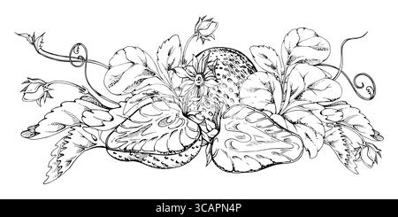 Strawberry berries full and cut in half, leaves tendrils flowers hand drawn in vector ink, ripe forest garden harvest. Isolated botanical illustration Stock Vector