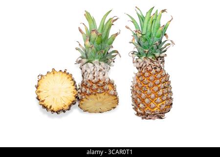 Pineapple ( Ananas comosus ) isolated on white background . Pineapple clipping path. Stock Photo