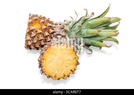 Pineapple ( Ananas comosus ) isolated on white background . Pineapple clipping path. Stock Photo
