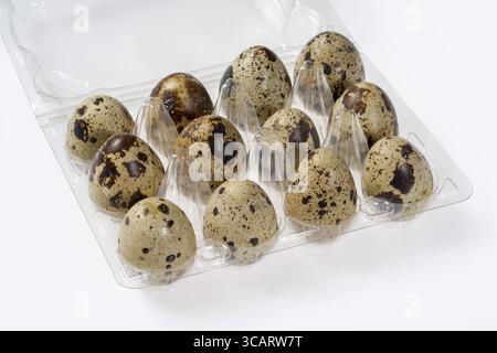 Some brown dappled quail eggs in a translucent plastic box Stock Photo