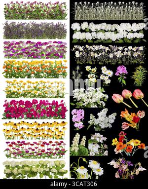Flowers lines on bed isolated on black and white set collage Stock Photo