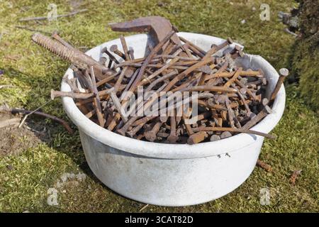 Rusty, curved retro nails are piled in a plastic bowl. Green lawn near rural shed Stock Photo