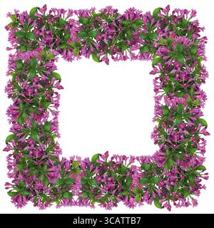 Frame from Easter spring pink bells spring flowers. Isolated abstract collage Stock Photo