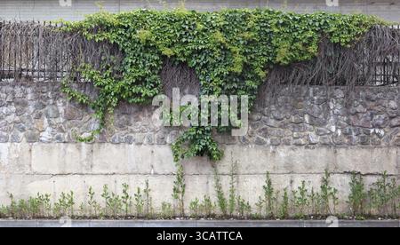 Fragment of the city wall is made of concrete blocks, granite stones and steel gratings. Wild grapes and weeds grow on stones. Panoramic collage from Stock Photo