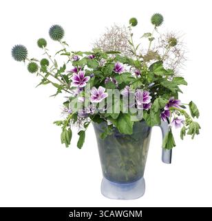 Bouquet from wild flowers - a thistle and violet hollyhocks. Plastic blue flowerpot. Isolated on white Stock Photo
