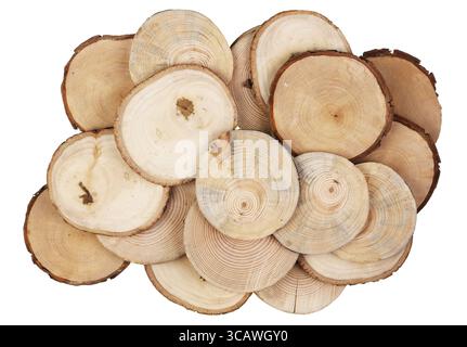 Round cuts and saw cuts of various species of garden wood - birch, apple, pear and pine. Isolated on white Stock Photo