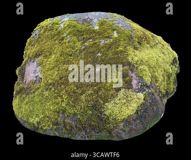 Large forest granite boulder stone overgrown with green moss isolated on black Stock Photo