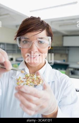 Female scientist wearing lab coat and goggles examining plant sprouts in glass Petri dish in lab Stock Photo