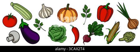 A vibrant vector illustration showcasing a diverse collection of handdrawn vegetables, including zucchini, garlic, pumpkin, bell pepper, onion, tomato Stock Vector